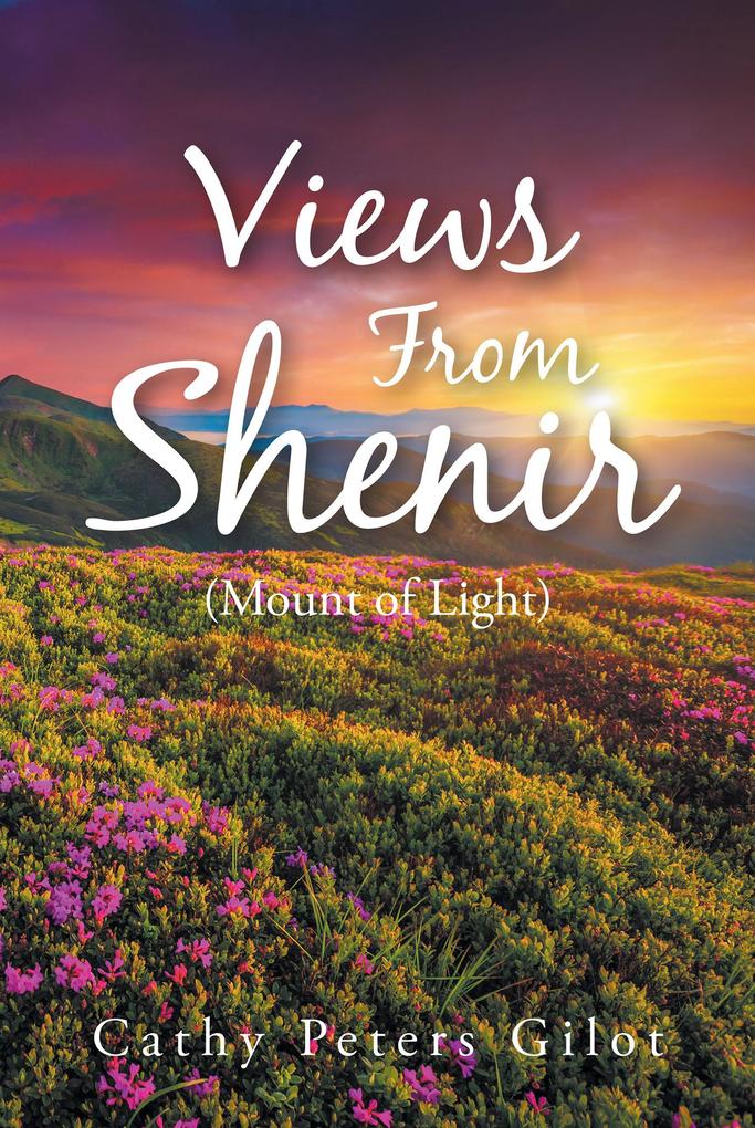Views From Shenir (Mount of Light)