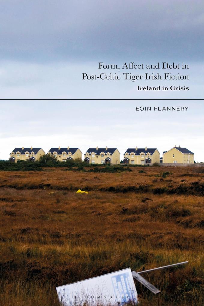Form Affect and Debt in Post-Celtic Tiger Irish Fiction