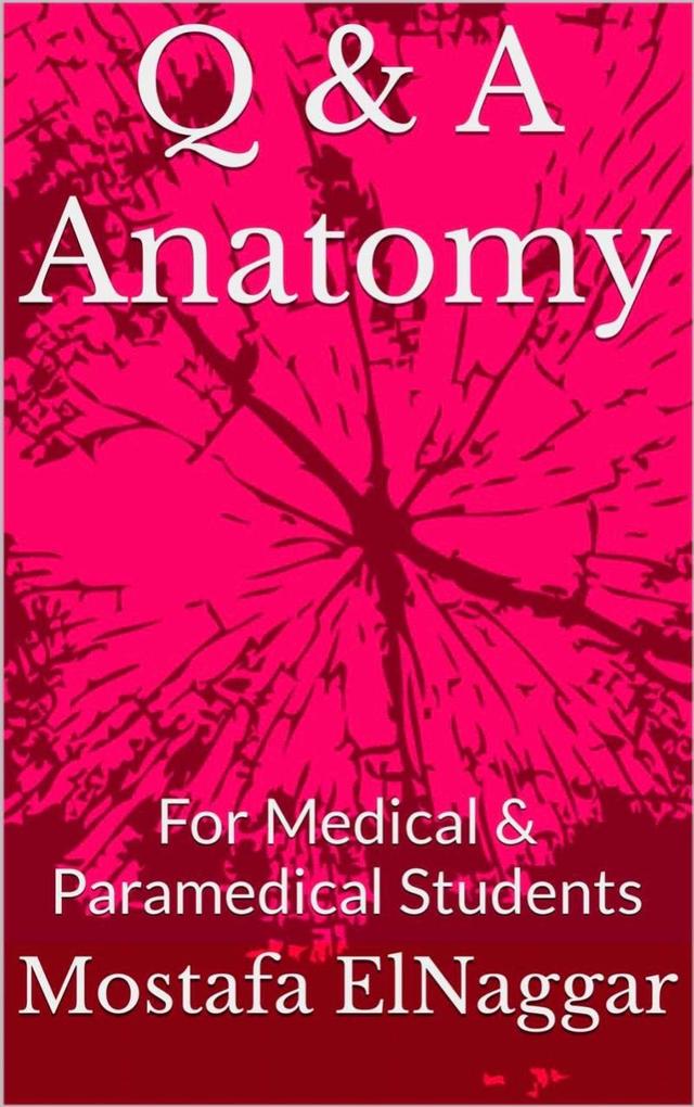 Q & A Anatomy