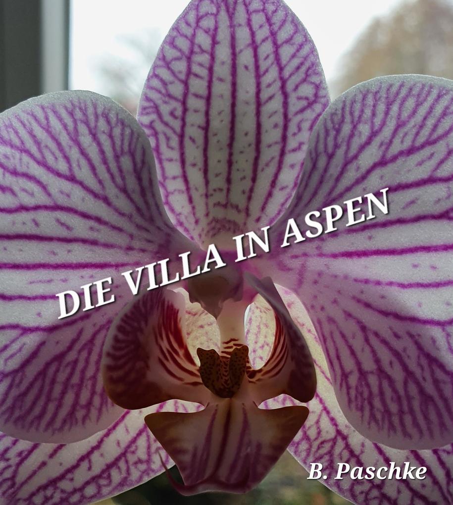 Die Villa in Aspen