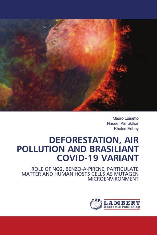DEFORESTATION AIR POLLUTION AND BRASILIANT COVID-19 VARIANT