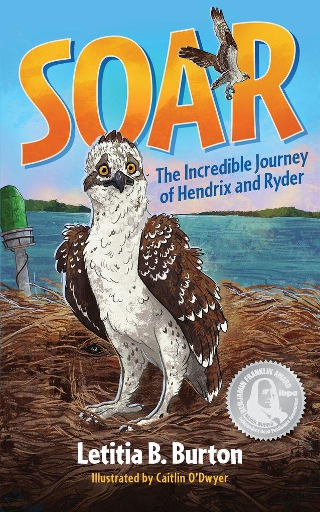 Soar