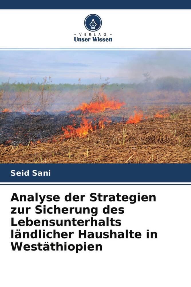 Analyse der Strategien zur Sicherung des Lebensunterhalts ländlicher Haushalte in Westäthiopien