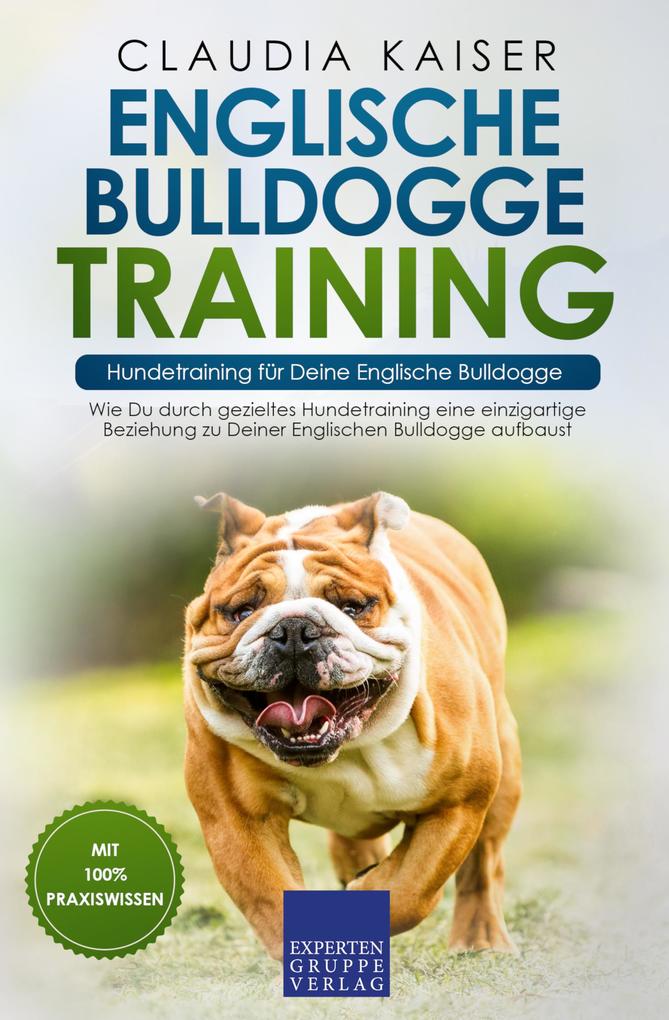 Englische Bulldogge Training - Hundetraining für Deine Englische Bulldogge