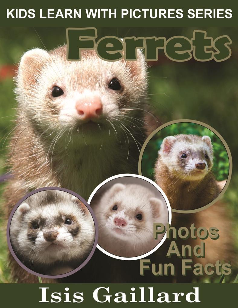 Ferrets Photos and Fun Facts for Kids (Kids Learn With Pictures #46)