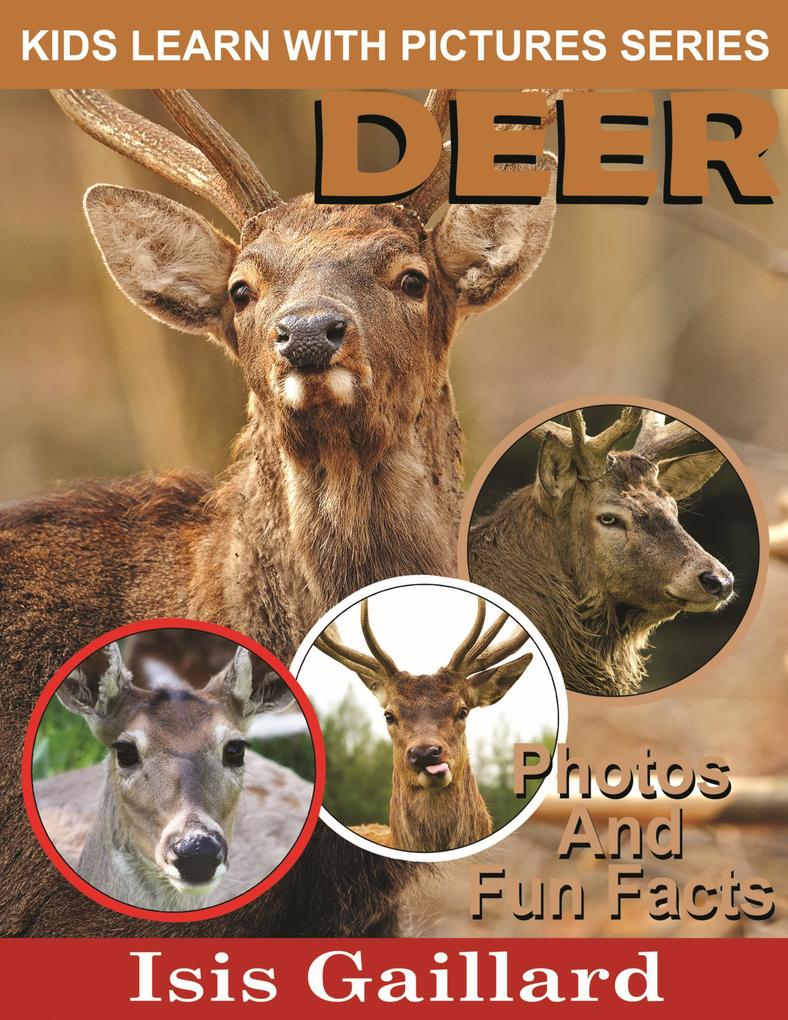 Deer Photos and Fun Facts for Kids (Kids Learn With Pictures #43)