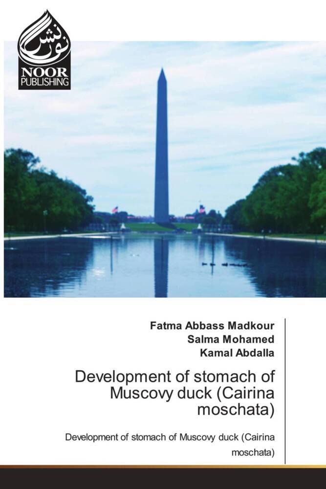 Development of stomach of Muscovy duck (Cairina moschata)