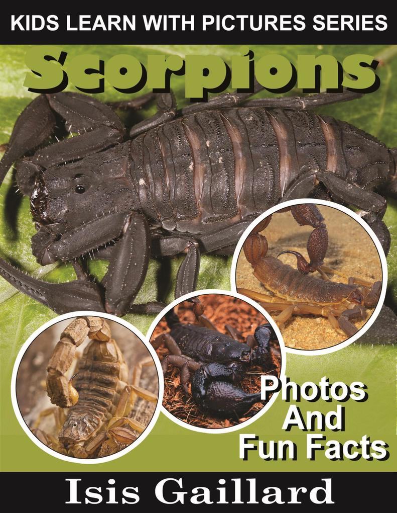 Scorpions Photos and Fun Facts for Kids (Kids Learn With Pictures #73)