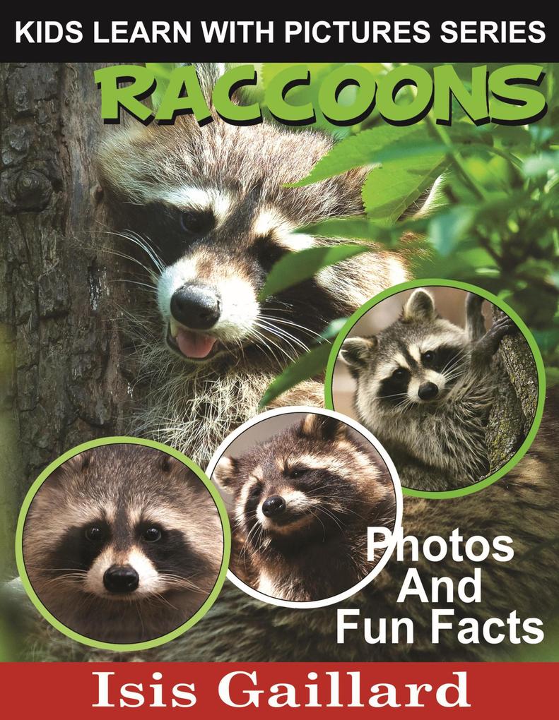 Raccoons Photos and Fun Facts for Kids (Kids Learn With Pictures #70)