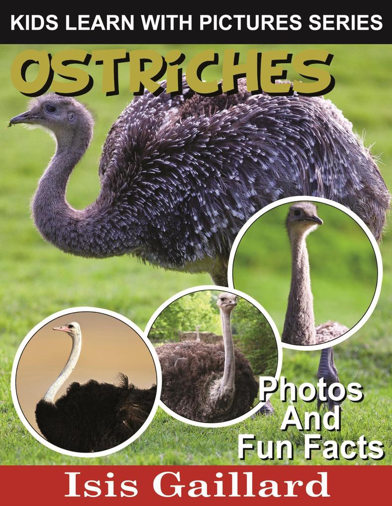 Ostriches Photos and Fun Facts for Kids (Kids Learn With Pictures #61)