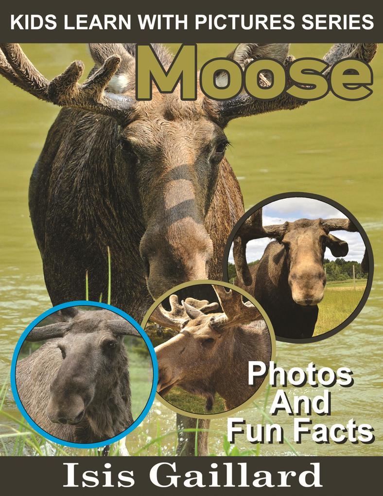 Moose Photos and Fun Facts for Kids (Kids Learn With Pictures #58)