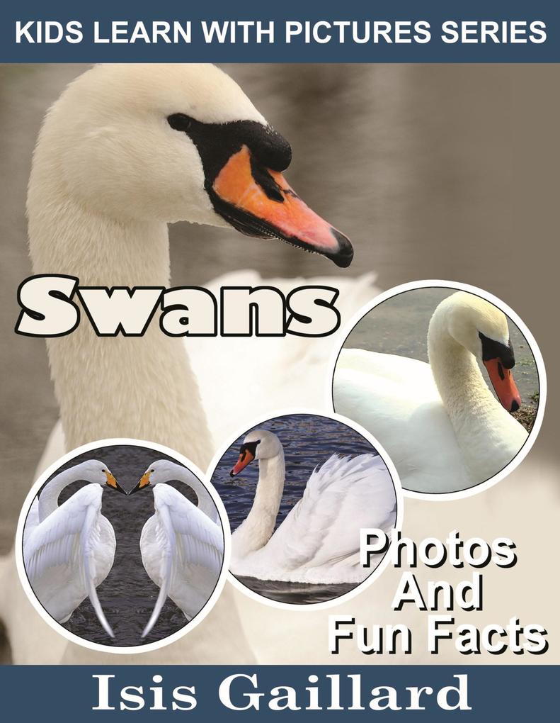 Swans Photos and Fun Facts for Kids (Kids Learn With Pictures #80)