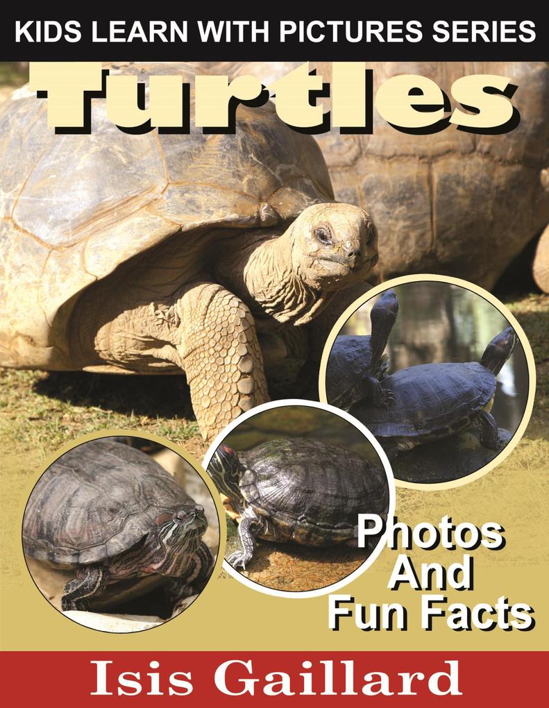 Turtles Photos and Fun Facts for Kids (Kids Learn With Pictures #81)