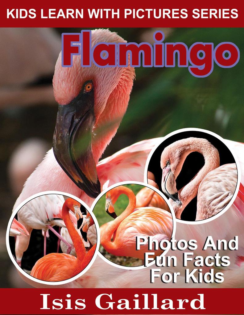 Flamingo Photos and Fun Facts for Kids (Kids Learn With Pictures #85)