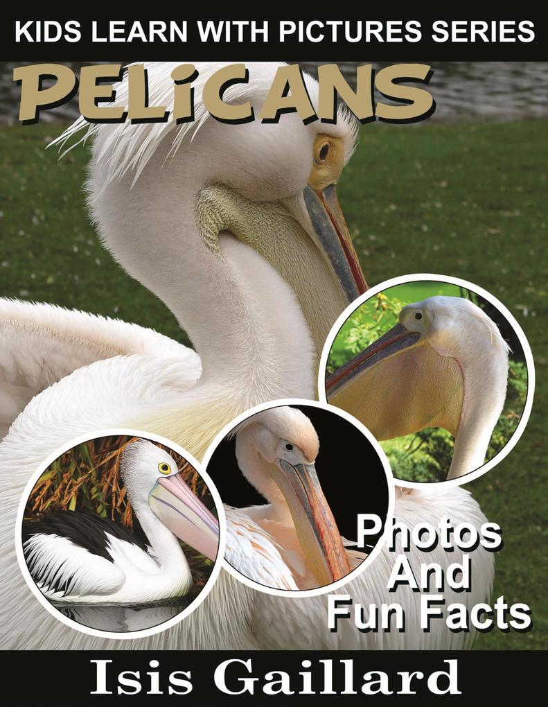 Pelicans Photos and Fun Facts for Kids (Kids Learn With Pictures #64)
