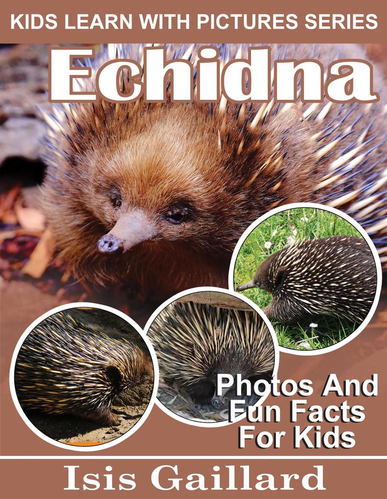 Echidna Photos and Fun Facts for Kids (Kids Learn With Pictures #99)