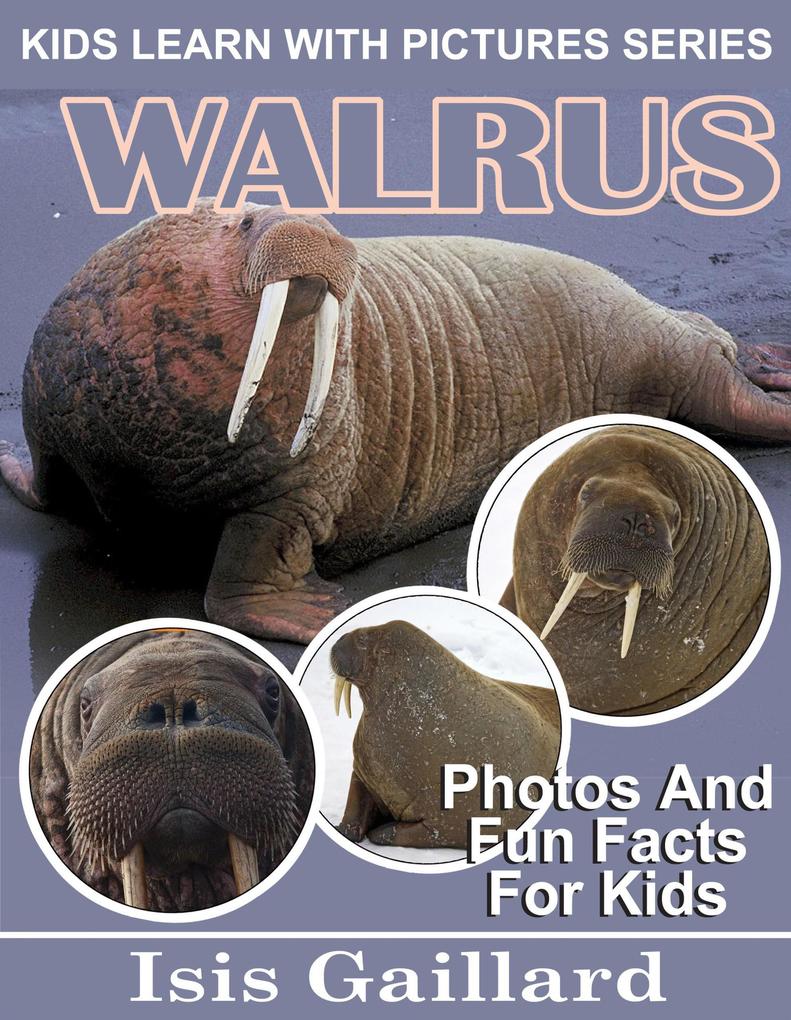 Walrus Photos and Fun Facts for Kids (Kids Learn With Pictures #93)