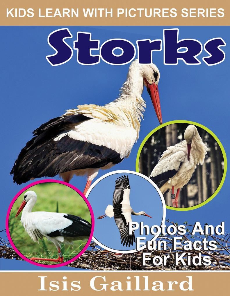 Storks Photos and Fun Facts for Kids (Kids Learn With Pictures #95)
