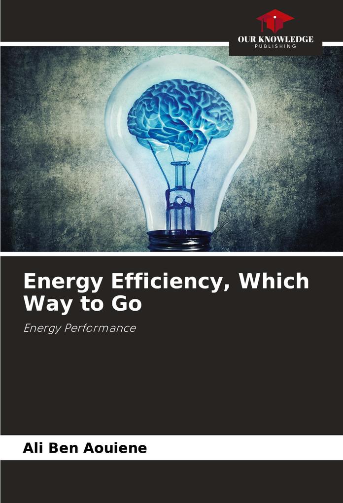 Energy Efficiency Which Way to Go