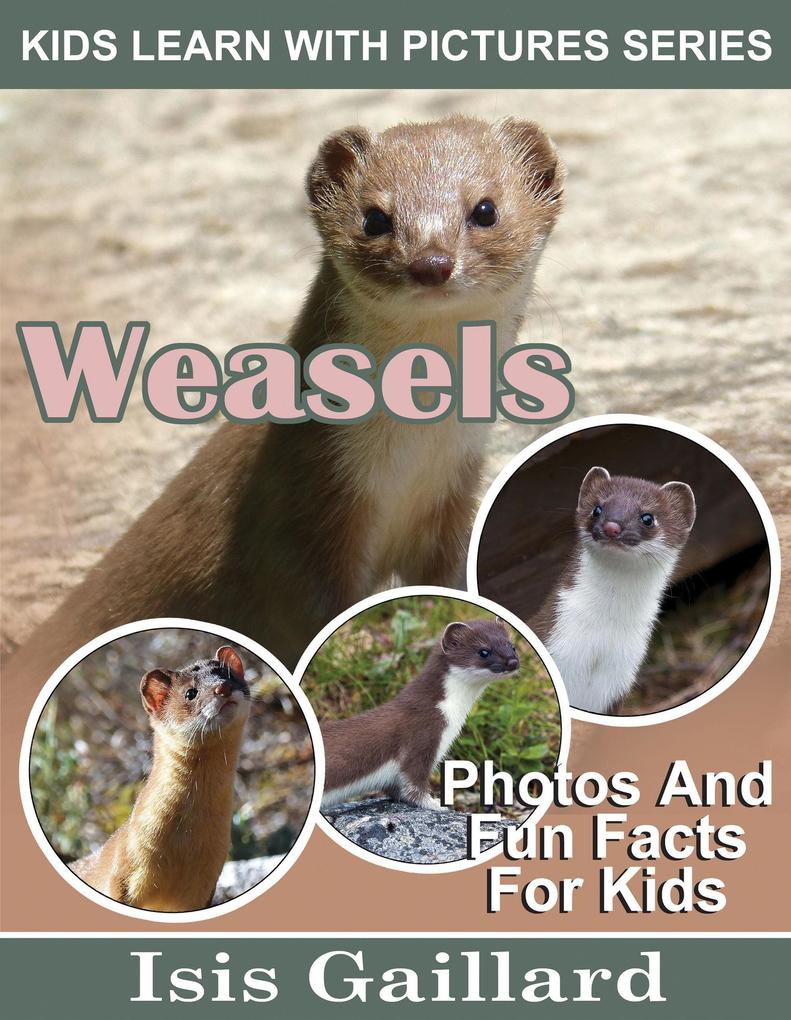 Weasels Photos and Fun Facts for Kids (Kids Learn With Pictures #113)