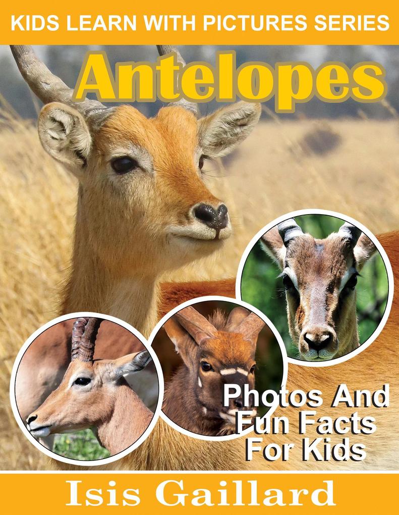 Antelopes Photos and Fun Facts for Kids (Kids Learn With Pictures #107)