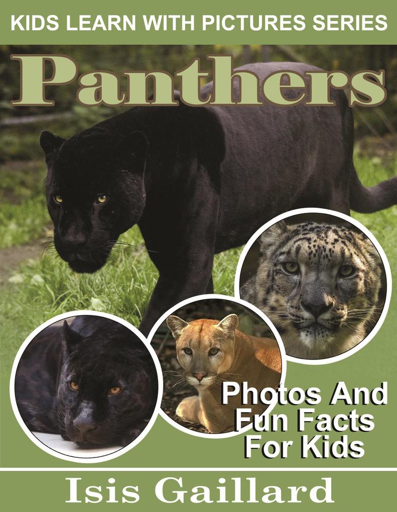 Panthers Photos and Fun Facts for Kids (Kids Learn With Pictures #112)