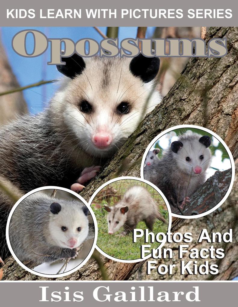 Opossums Photos and Fun Facts for Kids (Kids Learn With Pictures #110)