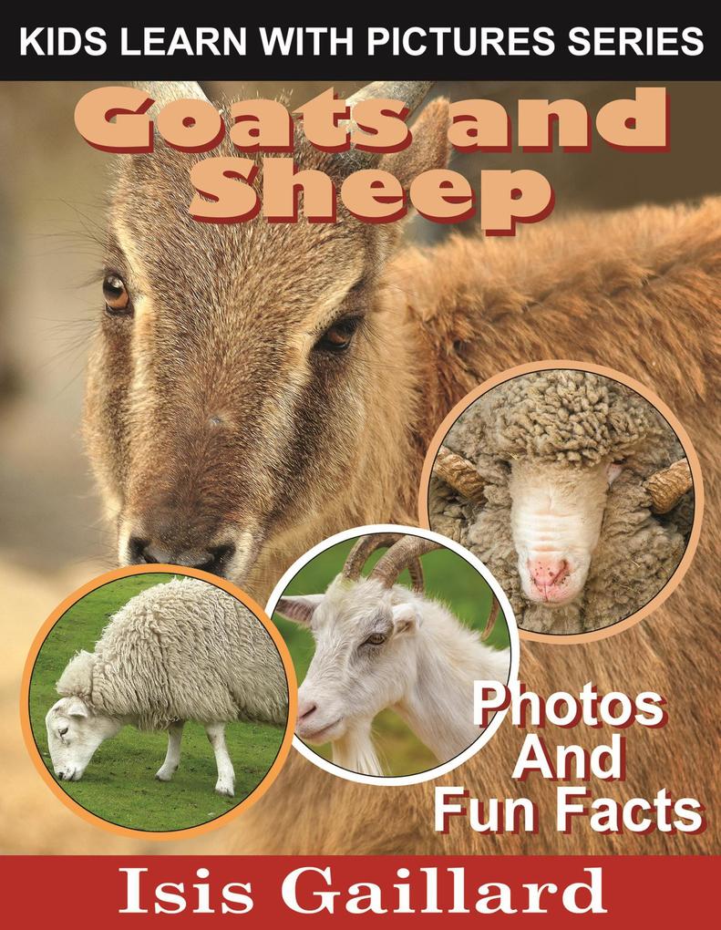 Goats and Sheep Photos and Fun Facts for Kids (Kids Learn With Pictures #118)