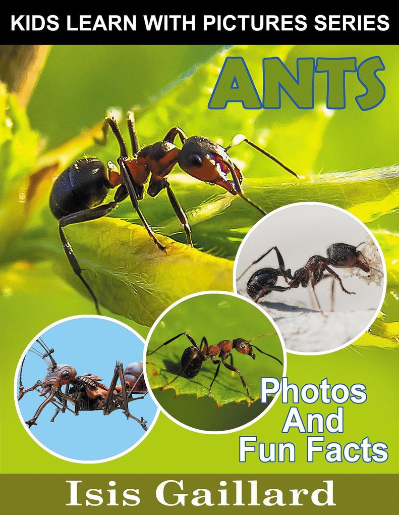 Ants Photos and Fun Facts for Kids (Kids Learn With Pictures #133)