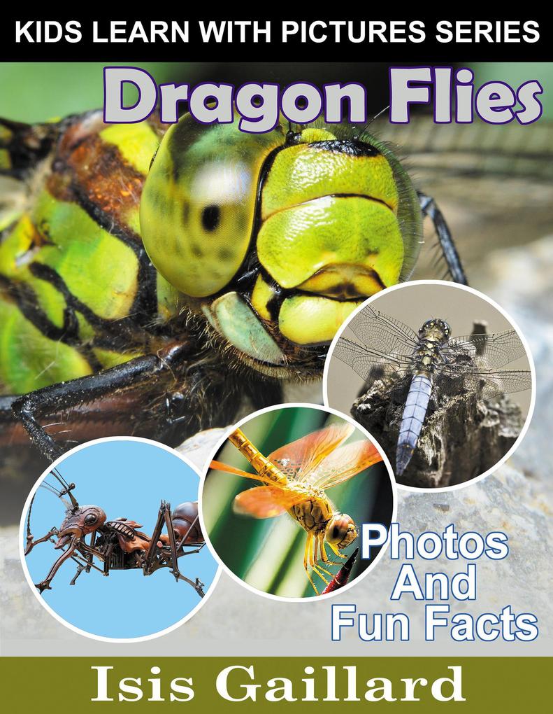 Dragon Flies Photos and Fun Facts for Kids (Kids Learn With Pictures #134)