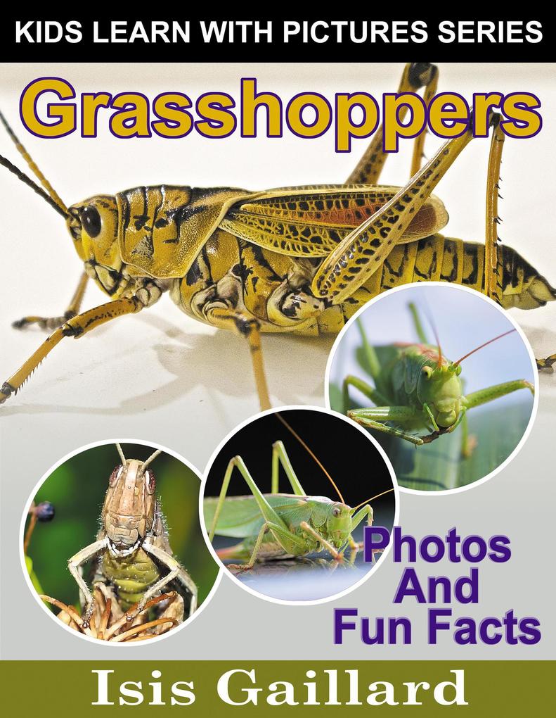 Grasshoppers Photos and Fun Facts for Kids (Kids Learn With Pictures #135)