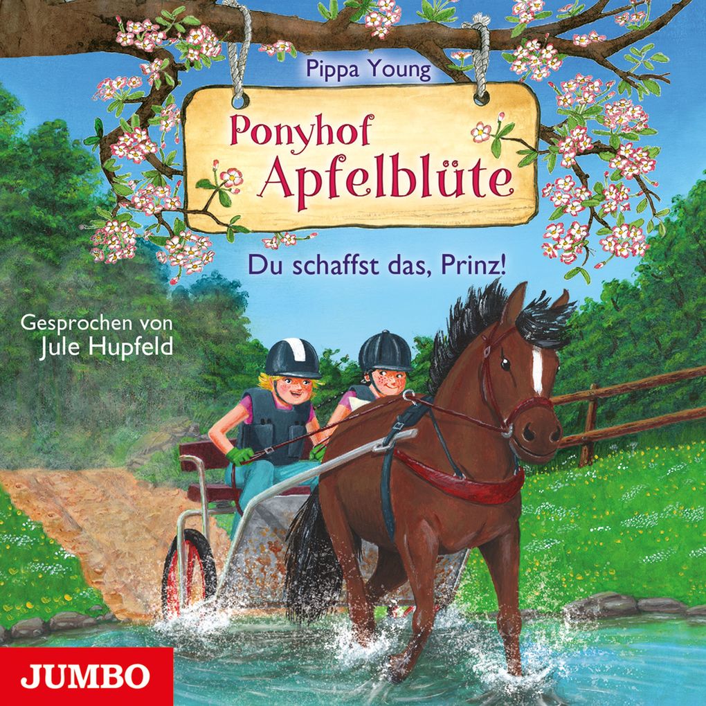 Ponyhof Apfelblüte. Du schaffst das Prinz! [Band 19]