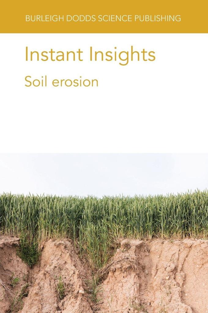 Instant Insights