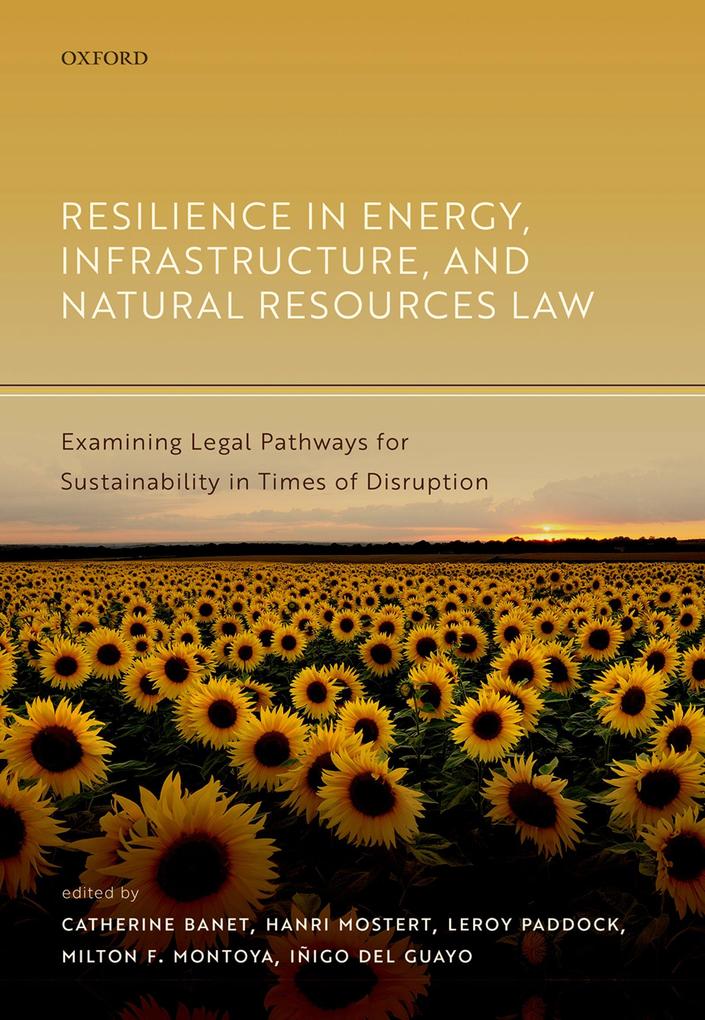 Resilience in Energy Infrastructure and Natural Resources Law
