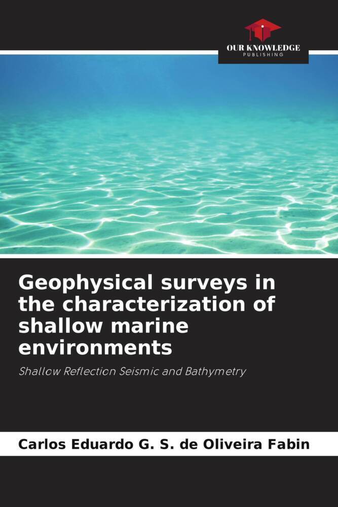 Geophysical surveys in the characterization of shallow marine environments