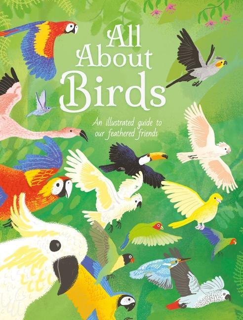 Image of All about Birds: An Illustrated Guide to Our Feathered Friends