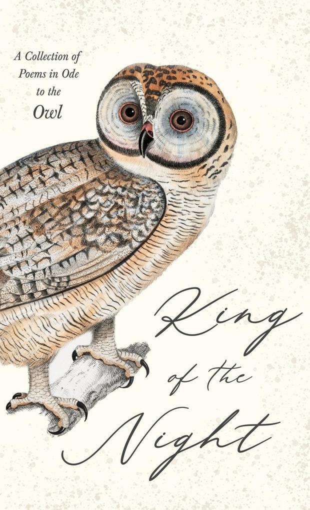 King of the Night - A Collection of Poems in Ode to the Owl