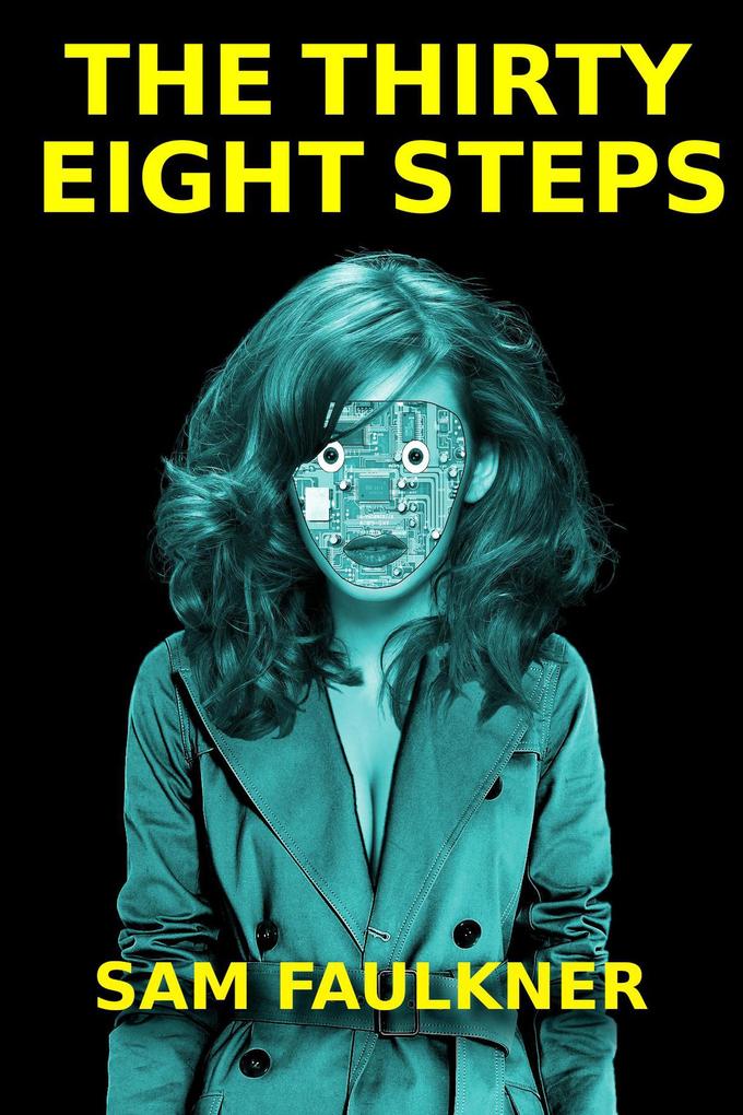 The Thirty Eight Steps (Fembot Sally #7)
