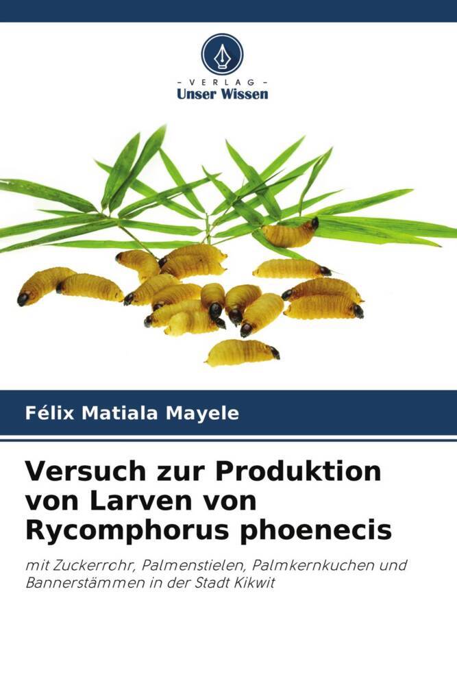 Versuch zur Produktion von Larven von Rycomphorus phoenecis