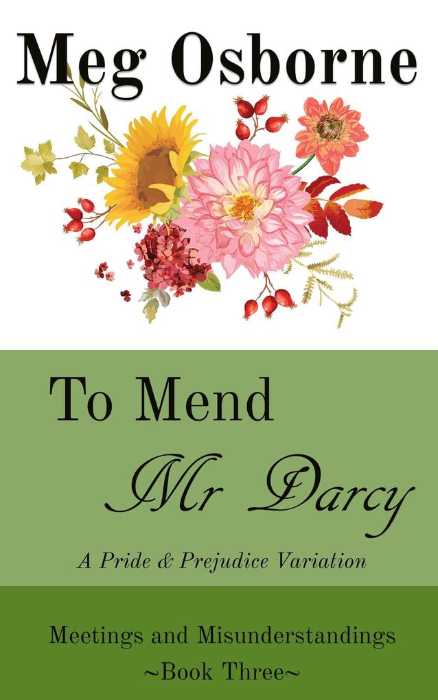 To Mend Mr Darcy: A Pride and Prejudice Variation (Meetings and Misunderstandings #3)