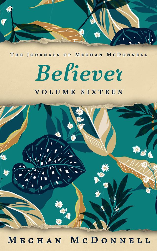 Believer: Volume Sixteen (The Journals of Meghan McDonnell #16)
