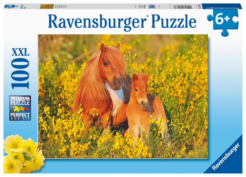 Image of Kinderpuzzle - Shetlandponys - 100 Teile