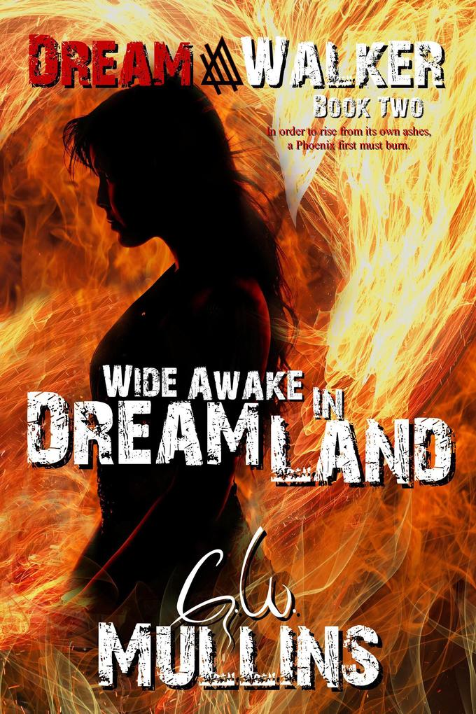 Wide Awake In Dream Land (Dream Walker #2)
