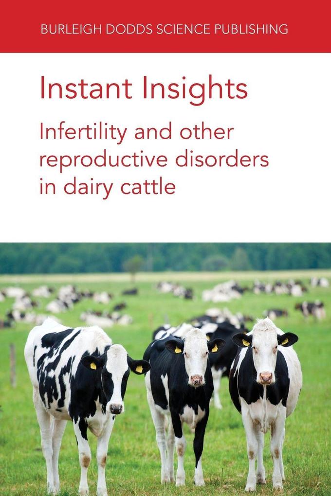 Instant Insights