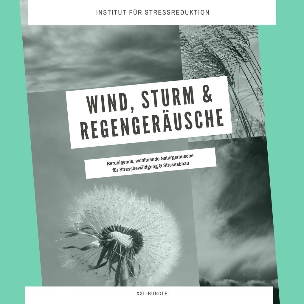 Wind Sturm & Regengeräusche: Beruhigende wohltuende Naturgeräusche für Stressbewältigung & Stressabbau