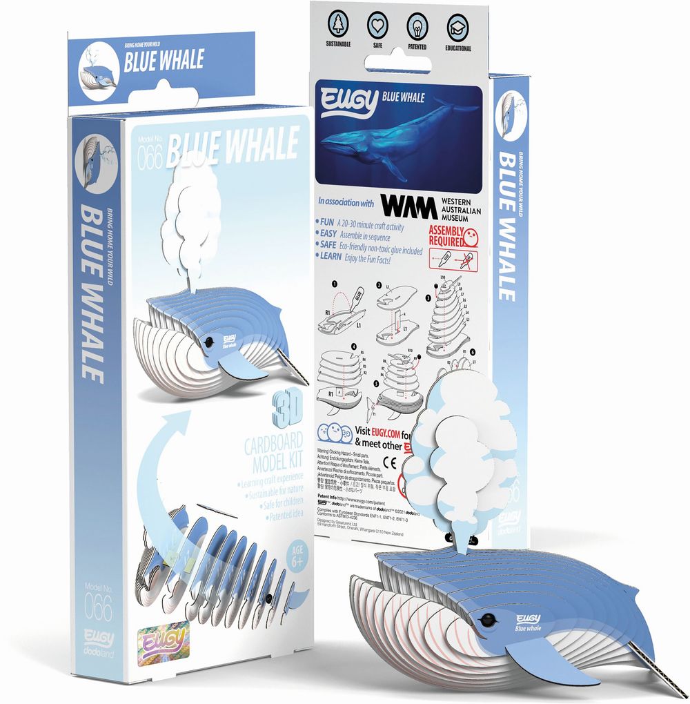 EUGY - 3D Bastelset Blauwal