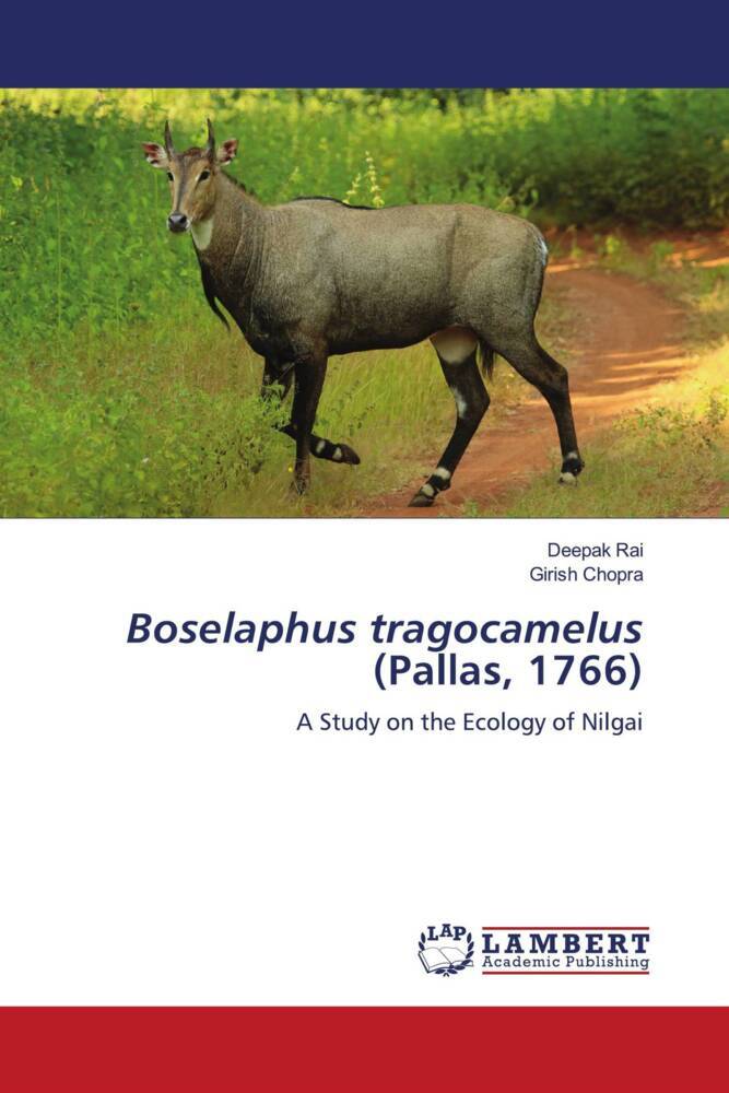 Boselaphus tragocamelus (Pallas 1766)