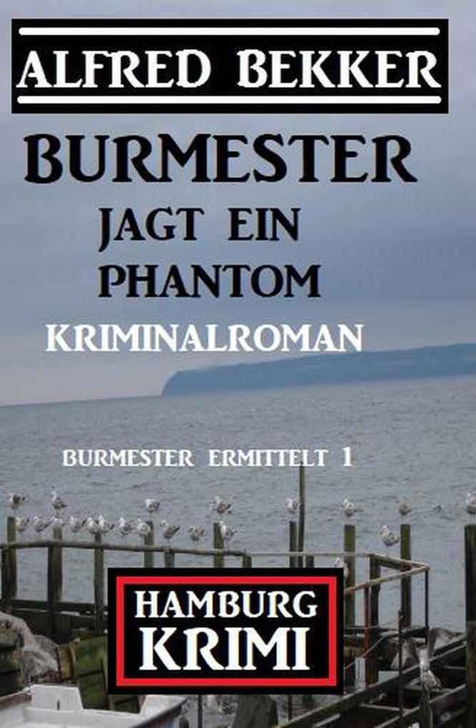 Burmester jagt ein Phantom: Hamburg Krimi Burmester ermittelt 1
