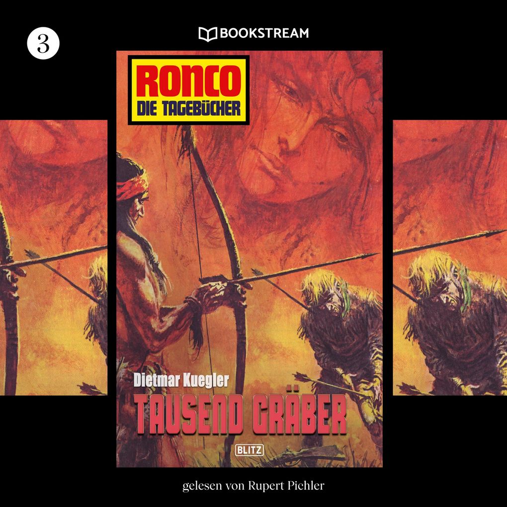 Ronco - Die Tagebücher Folge 3: Tausend Gräber