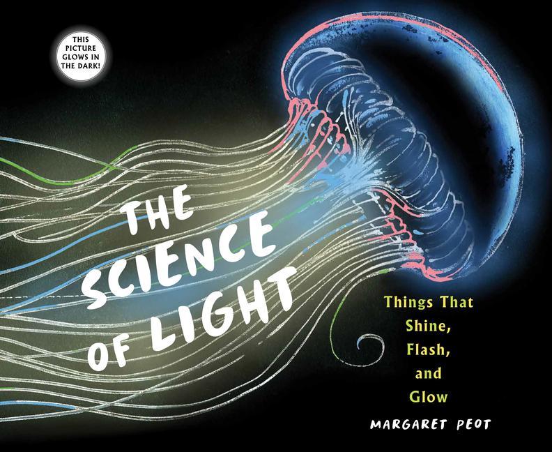 The Science of Light: Things That Shine Flash and Glow